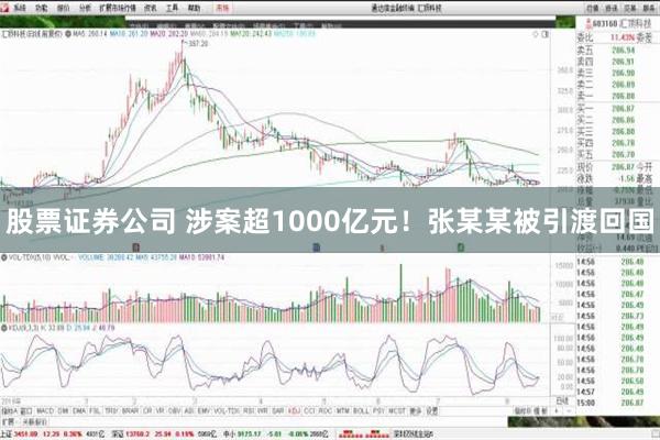 股票证券公司 涉案超1000亿元！张某某被引渡回国