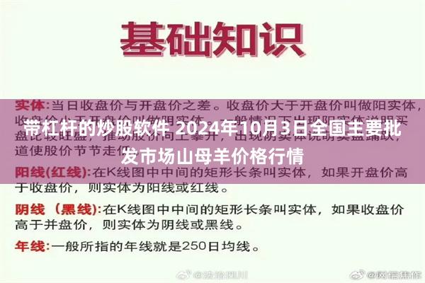 带杠杆的炒股软件 2024年10月3日全国主要批发市场山母羊价格行情