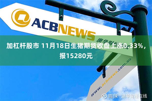 加杠杆股市 11月18日生猪期货收盘上涨0.33%，报15280元