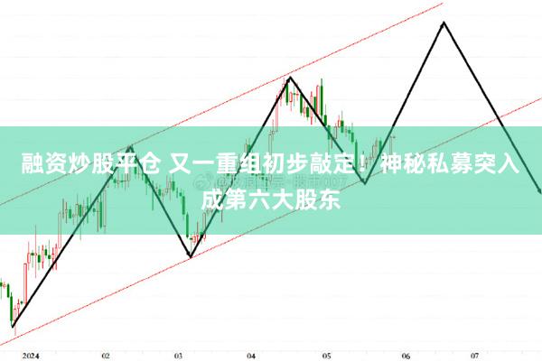 融资炒股平仓 又一重组初步敲定！神秘私募突入成第六大股东