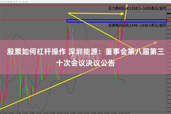 股票如何杠杆操作 深圳能源：董事会第八届第三十次会议决议公告